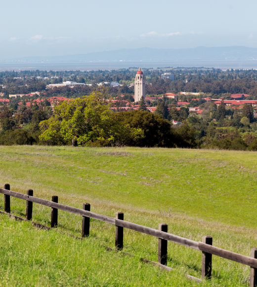 Palo Alto landscape