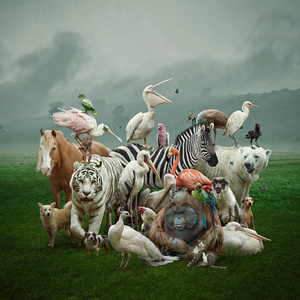 CLEANR | Toward a Sustainable 21st Century Series: Extinction: Solutions for Species on the Brink Conference