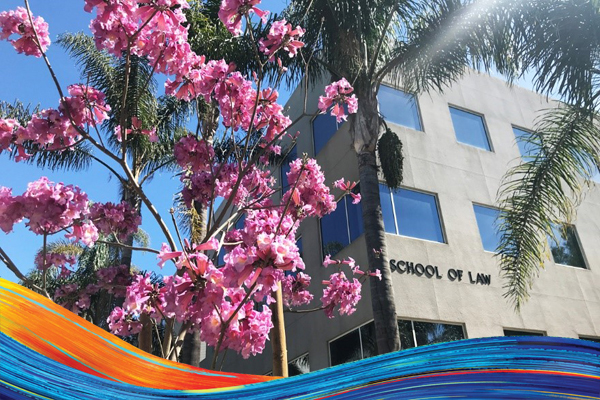 Law school building with blooming tree